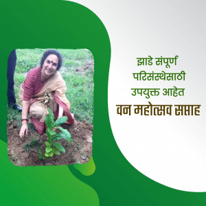 Woman planting a tree sapling outdoors