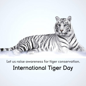 A majestic white tiger resting on a snowy surface with text promoting International Tiger Day.