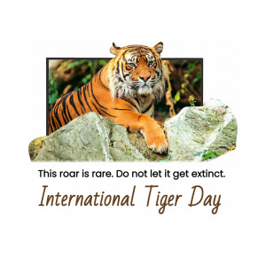 A majestic tiger resting on rocks with text promoting International Tiger Day and conservation.