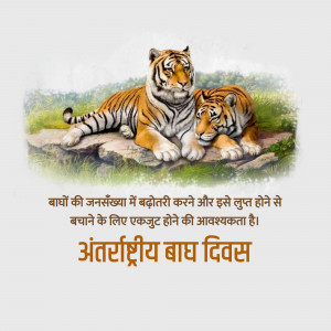 Two tigers resting on a rock with text about International Tiger Day