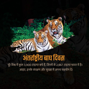 Two tigers in a jungle with text celebrating International Tiger Day
