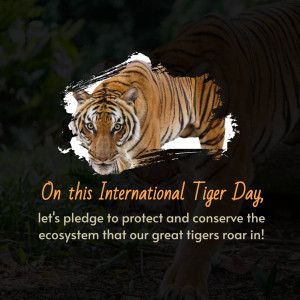 Tiger image with International Tiger Day message