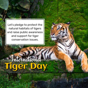 A majestic tiger resting on a rock with text promoting International Tiger Day and conservation.
