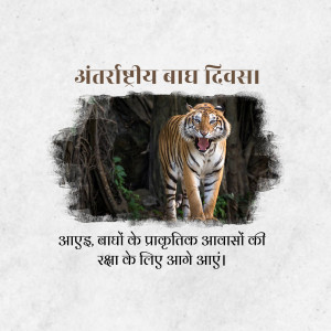 Image depicting a tiger emerging from a cracked wall with text in Hindi celebrating International Tiger Day.