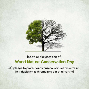 Half green, half bare tree symbolizing nature conservation