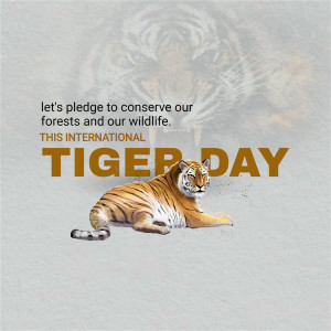 Image promoting International Tiger Day with a tiger and conservation message.