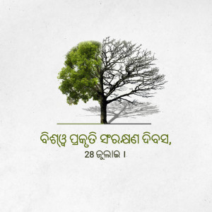 A split image of a tree, one side lush and green, the other barren and gray, with text in Odia.