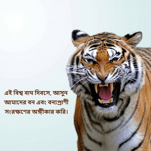 Close-up of a tiger with text in Bengali