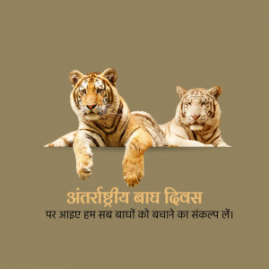 Two tigers, one orange and one white, resting side-by-side with text in Hindi.