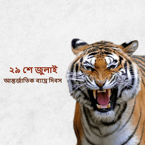 Close-up of a tiger roaring with text in Bengali