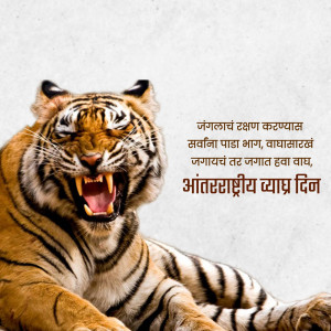 Close-up of a roaring tiger with text in Marathi