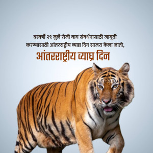 Image of a tiger with text celebrating International Tiger Day in Marathi.