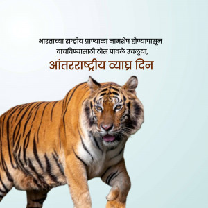 Image of a tiger with text in Marathi celebrating International Tiger Day