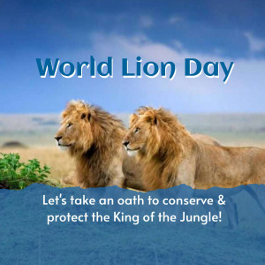 Two majestic lions with World Lion Day text overlay