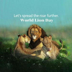 Illustration of a male and two female lions resting in a field with text 'Let's spread the roar further. World Lion Day'
