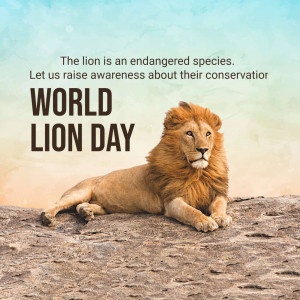 Lion resting on a rock with text 'World Lion Day' and a conservation message.