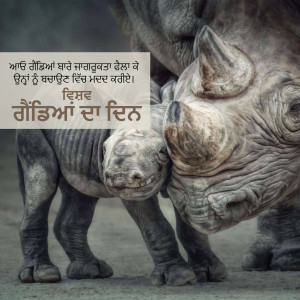 A heartwarming image of a mother rhino and her baby rhino nuzzling each other.