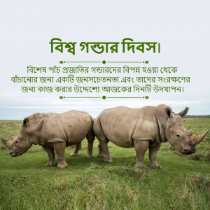 Two rhinoceroses standing in a grassy field with text in Bengali
