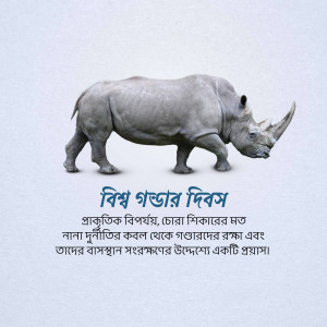 A rhinoceros standing on a blue background with text in Bengali.