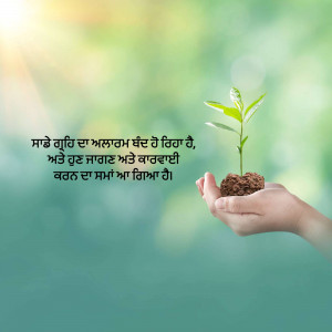 A hand gently holding a small plant growing from soil, symbolizing growth and care.