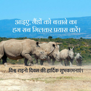 A family of rhinos with text promoting rhino conservation in Hindi.