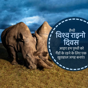 Two rhinos facing each other with a World Rhino Day message in Hindi