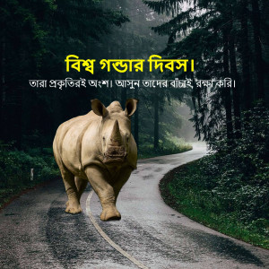 A rhinoceros walking on a road through a forest.