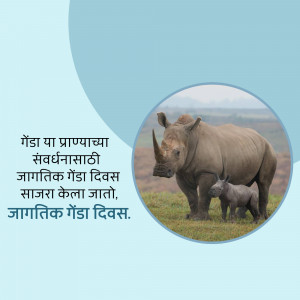 Mother and baby rhinoceros in a grassy landscape with text in Marathi celebrating World Rhinoceros Day.