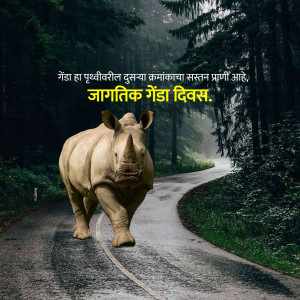 A rhinoceros walking on a road with text in Marathi celebrating World Rhinoceros Day.