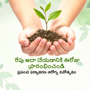 Child's hands cradling a small plant growing from soil, symbolizing growth and environmental care.