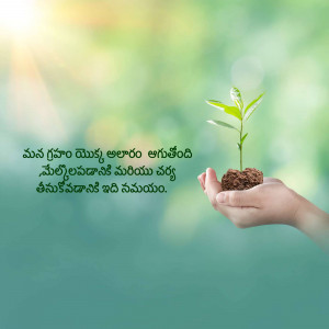 A hand gently cradling a small plant seedling, symbolizing growth and care.