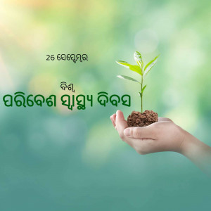 A hand gently cradling a small plant seedling with a blurred green background.
