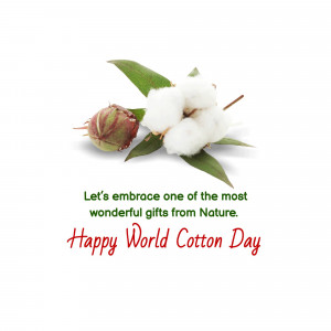 Cotton plant with cotton boll and text celebrating World Cotton Day