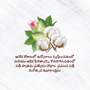 Close-up of a cotton flower and bud with text in Telugu
