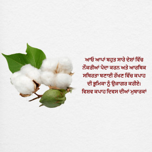 Close-up of a cotton plant with fluffy white cotton and green leaves, with text in Punjabi script.