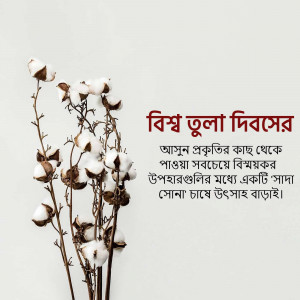Cotton plant with text in Bengali celebrating World Cotton Day