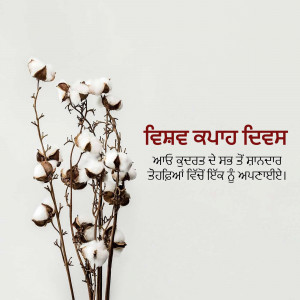 A close-up of a cotton branch with fluffy cotton bolls against a muted green background, featuring Punjabi text.