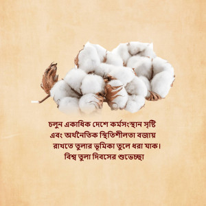 Close-up of cotton bolls with text in Bengali
