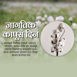 Image promoting World Cotton Day with cotton plants and text in Marathi.