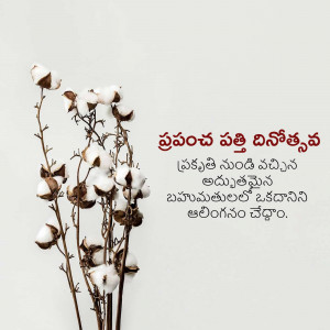 Cotton plant with Telugu text wishing World Cotton Day