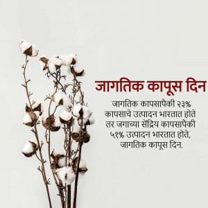 Image of cotton plant with text celebrating World Cotton Day