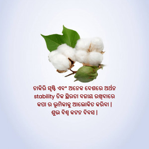Close-up of a cotton plant with fluffy cotton and green leaves against a light background with text in Odia and English.