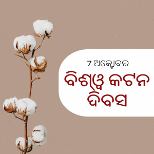 Close-up of a cotton plant branch with fluffy white cotton and a white text box with writing in an Asian language.