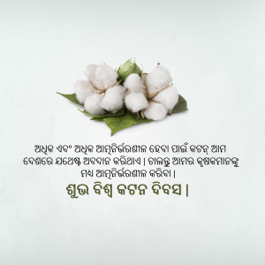 Close-up of cotton bolls and leaves with text in Odia script