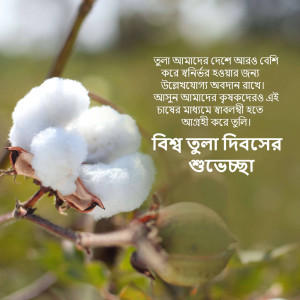 Close-up of a cotton plant with text in Bengali wishing a Happy World Cotton Day