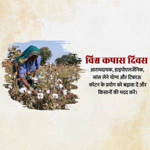 A woman picking cotton with text in Hindi celebrating World Cotton Day.