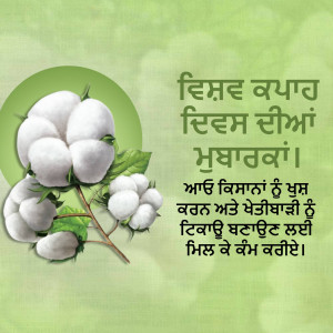 Image of cotton boll with text in Punjabi