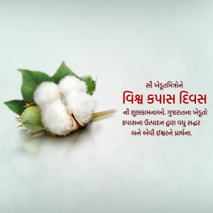 Image of cotton plant with text in Gujarati celebrating World Cotton Day