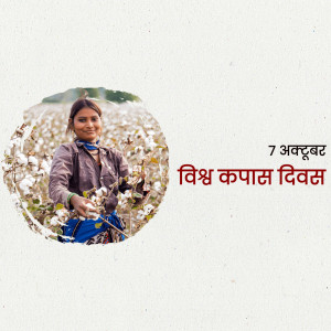 A woman holding cotton in a field, with text in Hindi celebrating World Cotton Day.