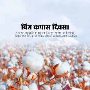 Close-up of cotton plants with text in Hindi celebrating World Cotton Day